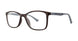 Modz ANAHEIM Eyeglasses