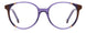 0E53-00 - VIOLET BROWN