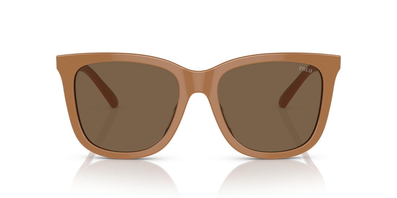619673 - Brown - Dark Brown