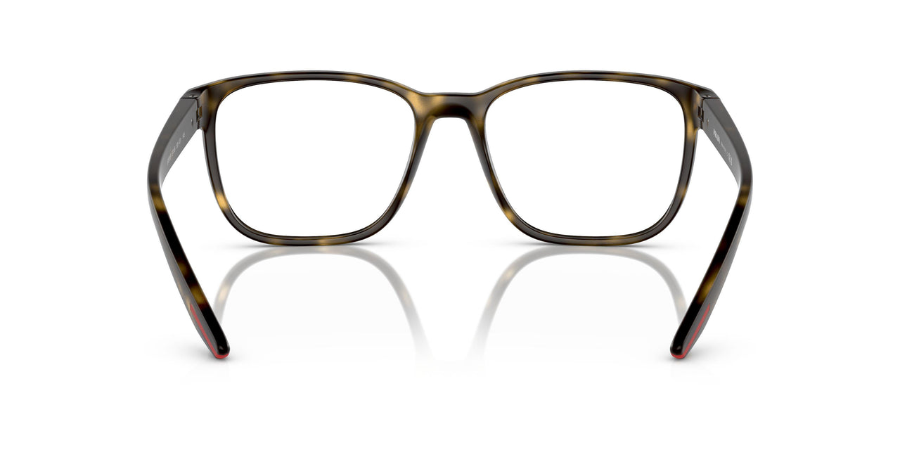 5811O1 - Tortoise