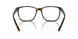 5811O1 - Tortoise