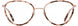 Cinzia CIN5188 Eyeglasses