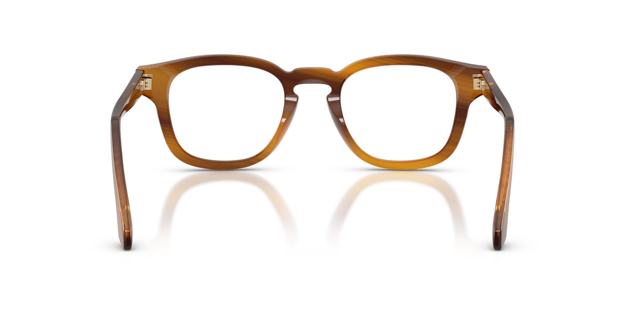 6163 - Tortoise
