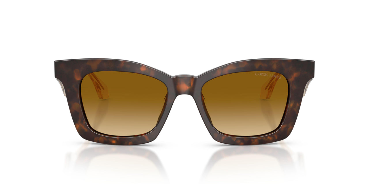 62312L - Tortoise - Yellow Gradient Light Brown