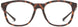 102791N9P5418 - Matte Tortoise
