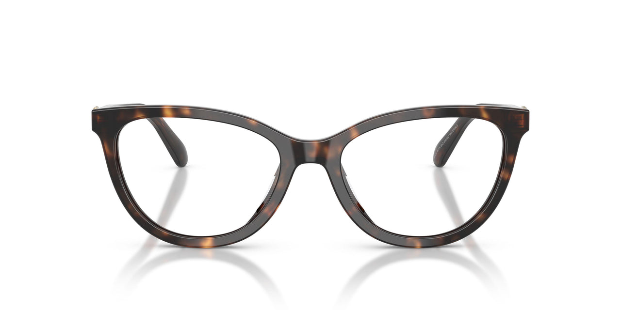 5120 - Tortoise