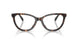 5120 - Tortoise