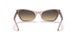 1344BG - Pink - Brown Vintage