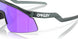 922904 - Black - Prizm Violet