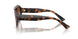 500213 - Tortoise - Gradient Brown