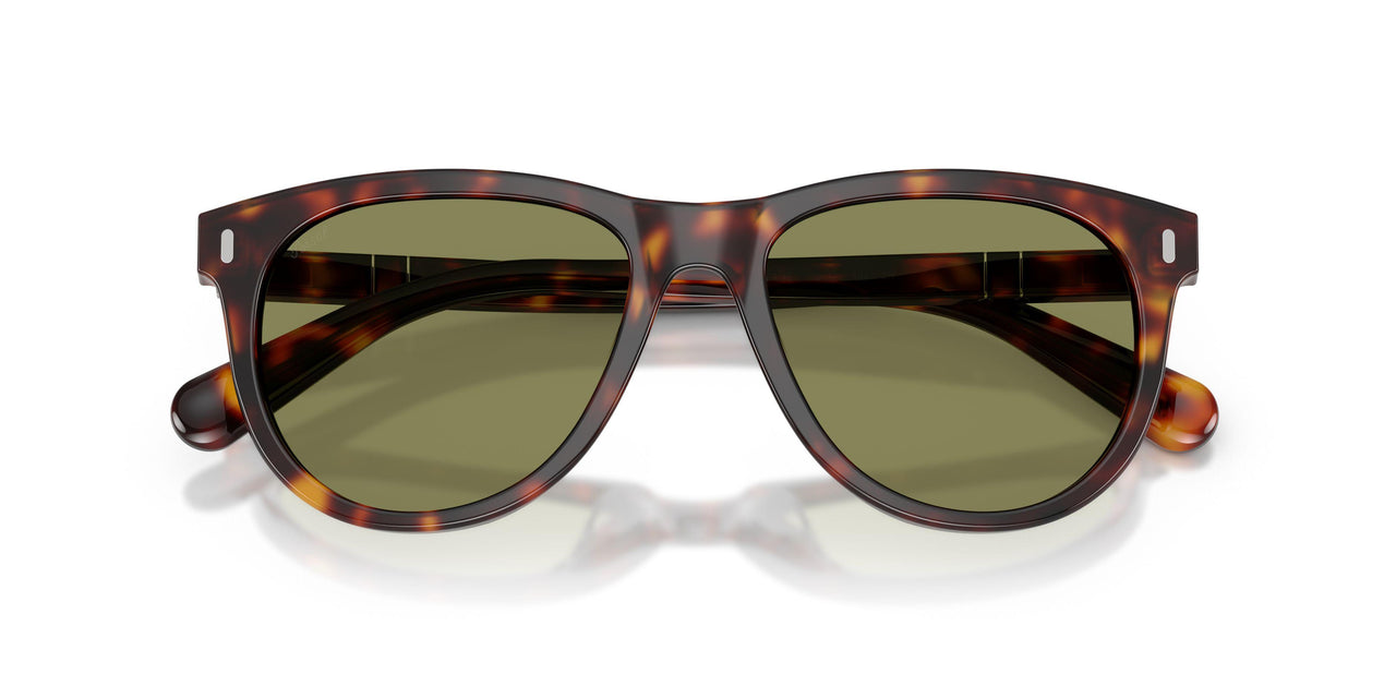 24/4E - Tortoise - Light Green