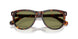 24/4E - Tortoise - Light Green