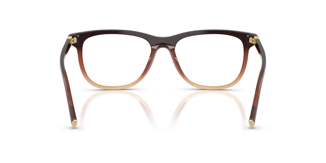 24C1O1 - Brown