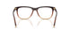 24C1O1 - Brown