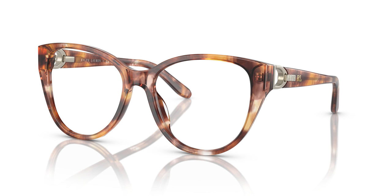 6093 - Tortoise