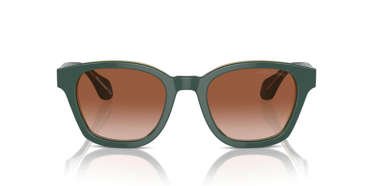 608613 - Green - Gradient Brown