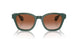 608613 - Green - Gradient Brown