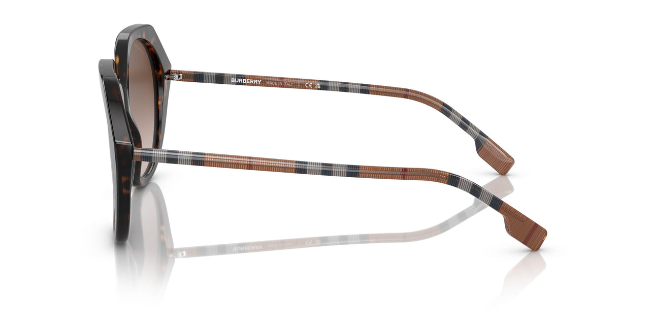 401713 - Havana - Brown Gradient