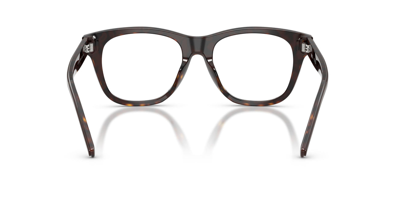 2069 - Brown