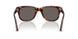 24/B1 - Tortoise - Dark Grey