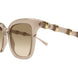 004 - Brown - Brown