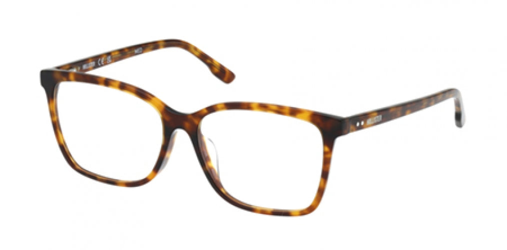 HOLLISTER 50053 Eyeglasses