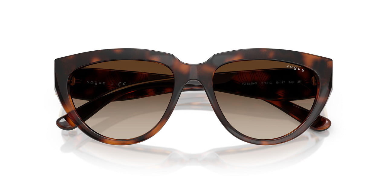 271813 - Brown - Gradient Dark Brown