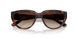 271813 - Brown - Gradient Dark Brown