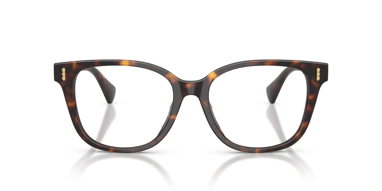 5003 - Brown