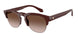Giorgio Armani 8238F Sunglasses