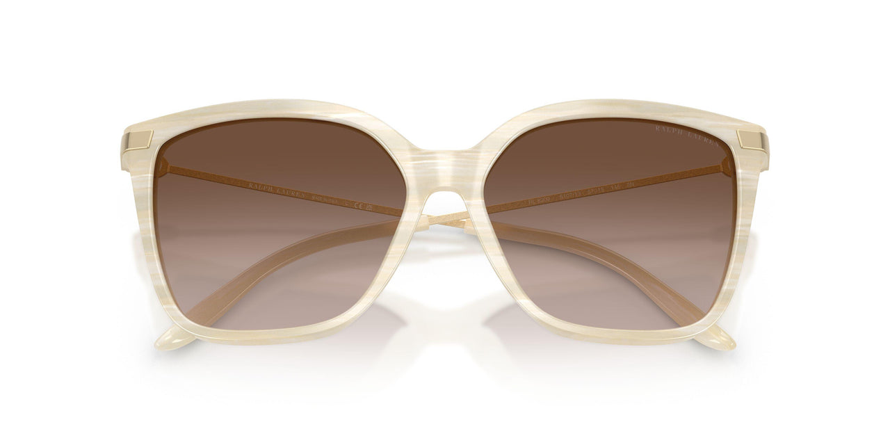 610713 - Beige - Gradient Brown