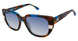 Champion CULEX Sunglasses