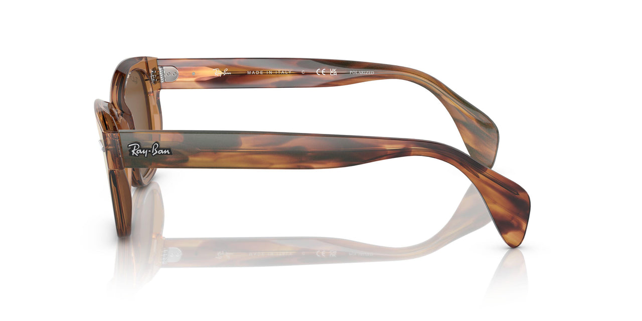 664057 - Brown - Brown Polar