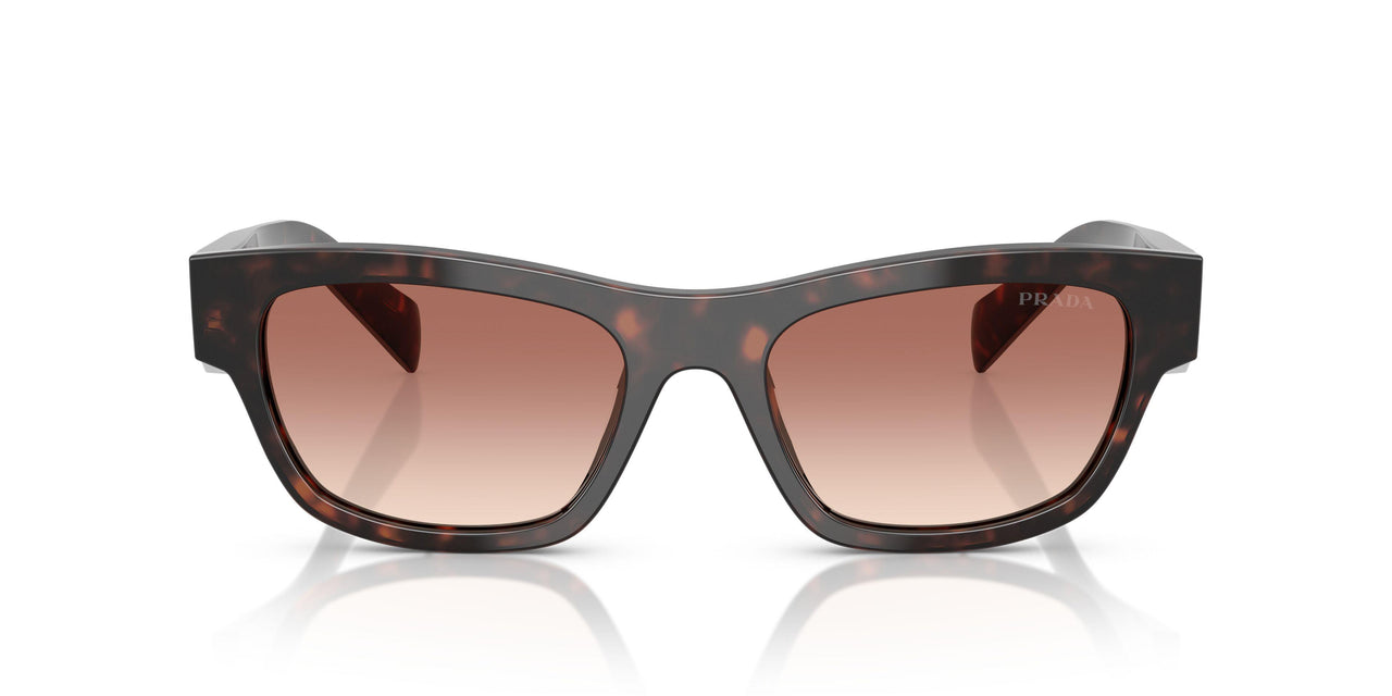 17N50L - Tortoise - Light Brown Gradient Bordeaux