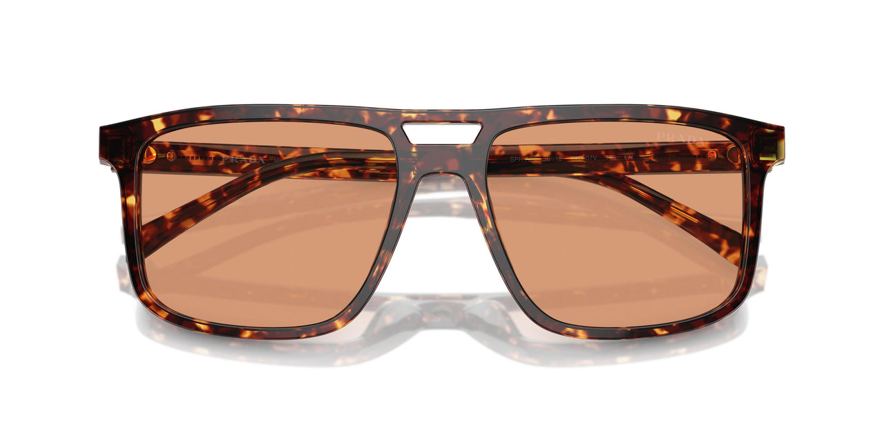14O07V - Tortoise - Orange