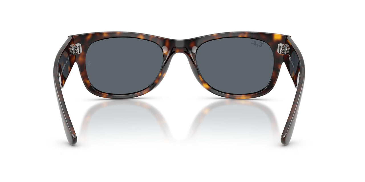 902/R5 - Tortoise - Blue