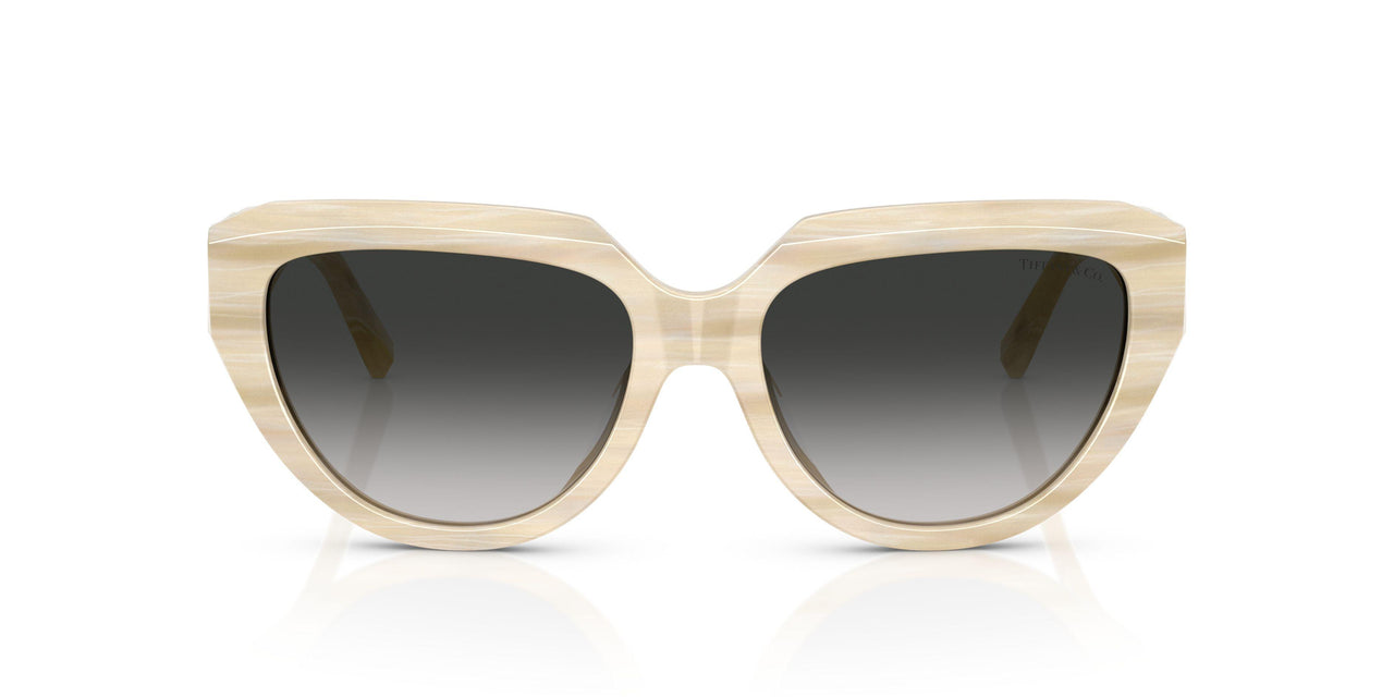 84313C - Beige - Grey Gradient