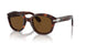 24/57 - Tortoise - Polarized Brown