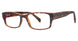 Modern Plastics II URBAN Eyeglasses