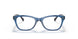 2988 - Blue