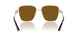 300683 - Gold - Polarized Brown