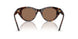 100273 - Tortoise - Dark Brown