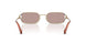 ZVN20I - Gold - Light Purple Brown