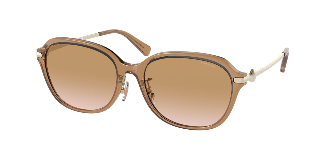 565413 - Brown - Brown Gradient