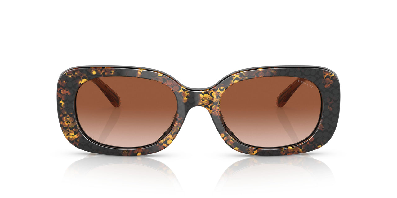 572413 - Multi - Brown Gradient