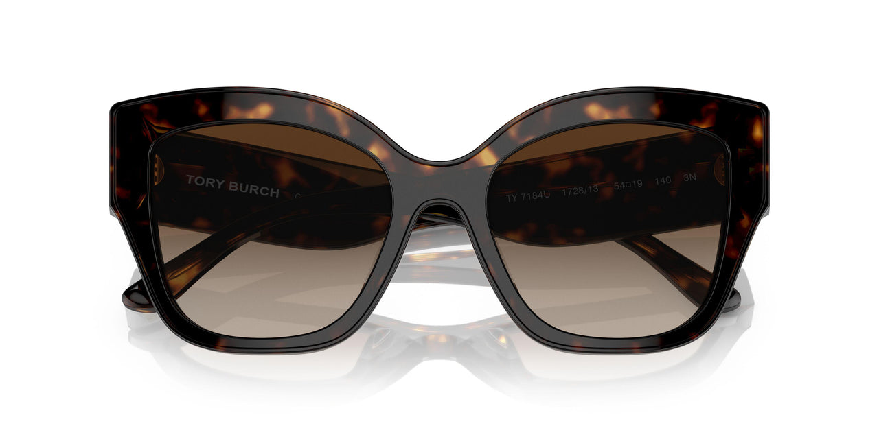 172813 - Havana - Brown Gradient