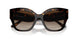 172813 - Havana - Brown Gradient