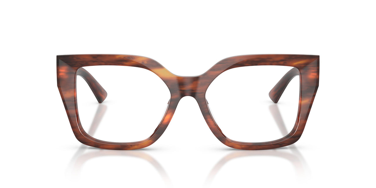 5112 - Tortoise