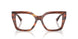 5112 - Tortoise