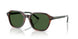 631571 - Brown - Bottle Green